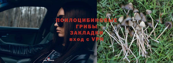 мдма Новозыбков